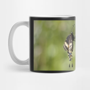 Soca Butterfly Mug